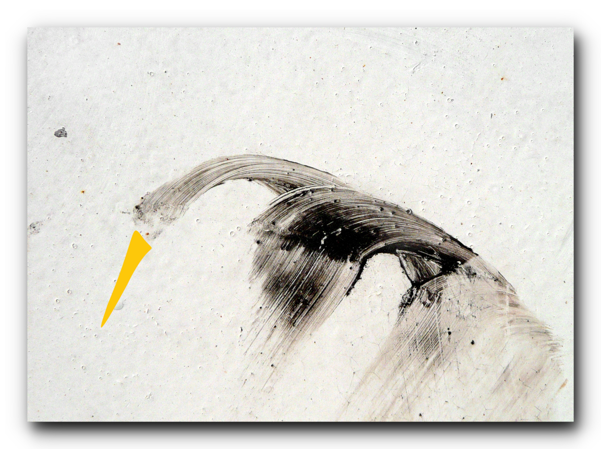 Cormorano con becco giallo